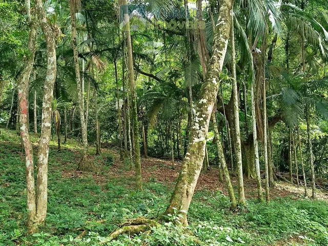 Imagem 7: Área Residencial/Comercial em Morro Grande, Morretes/PR