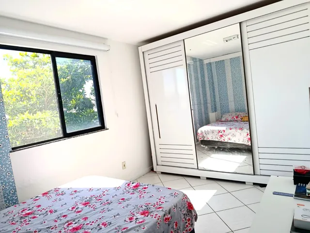 Imagem 14: Pitangueiras ao lado da Unime 1/4