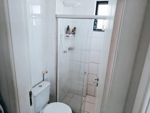 Imagem 15: Pitangueiras ao lado da Unime 1/4