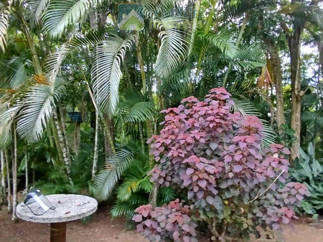 Imagem 14: Chácara em Rio Sagrado de Cima, Morretes/PR