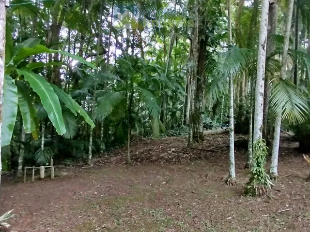 Imagem 11: Chácara em Rio Sagrado de Cima, Morretes/PR