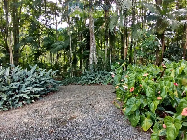 Imagem 12: Chácara em Rio Sagrado de Cima, Morretes/PR