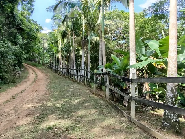 Imagem 7: Chácara em Rio Sagrado de Cima, Morretes/PR