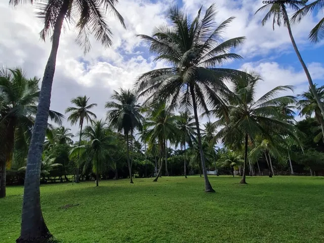 Imagem 13: Sítio 42 mil m² em Coqueiros de Arembepe!