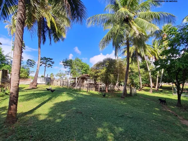 Imagem 14: Sítio 42 mil m² em Coqueiros de Arembepe!