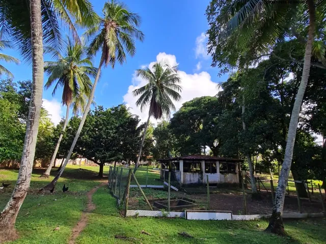 Imagem 11: Sítio 42 mil m² em Coqueiros de Arembepe!