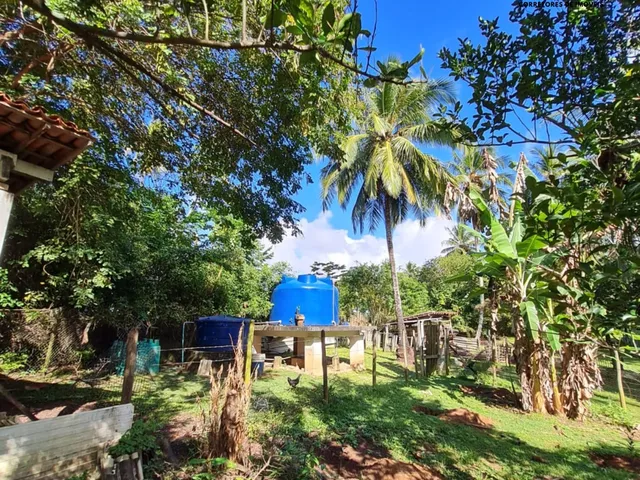 Imagem 3: Sítio 42 mil m² em Coqueiros de Arembepe!