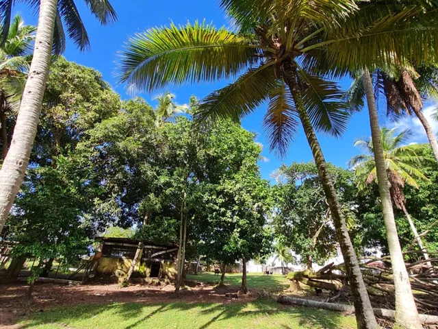 Imagem 4: Sítio 42 mil m² em Coqueiros de Arembepe!