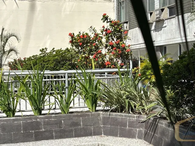 Imagem 3: Excelente Apartamento de 3 Quartos com Garagem na Rua Humaitá, em Condomínio Com