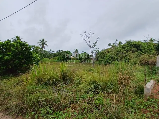 Imagem: Lote/Terreno/Condomínio em Centro