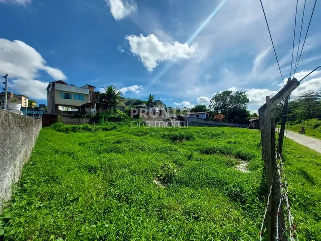 Imagem: Lote/Terreno/Condomínio em Varzea