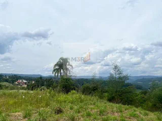 Imagem 7: Terreno com Vista Eterna para o Vale 450m² em Nova Petrópolis Pinhal Alto