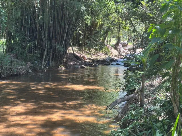 Imagem 6: Belíssima Chácara com Cachoeira em Santo Amaro da Imperatriz/SC!