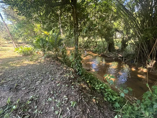 Imagem 13: Belíssima Chácara com Cachoeira em Santo Amaro da Imperatriz/SC!