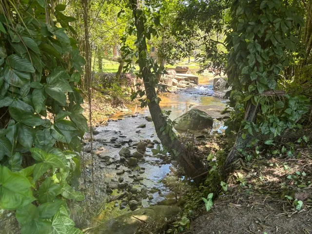 Imagem 7: Belíssima Chácara com Cachoeira em Santo Amaro da Imperatriz/SC!