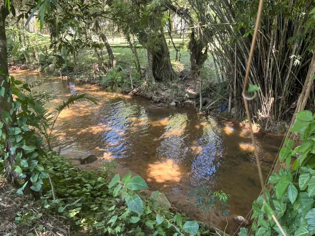 Imagem 12: Belíssima Chácara com Cachoeira em Santo Amaro da Imperatriz/SC!