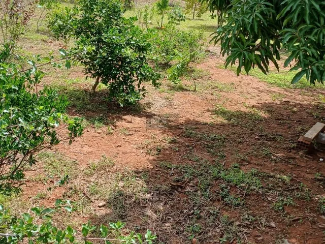 Imagem 3: Condomínio Sítio dos Ipês - Sítio 2.500 m² em Condomínio Fechado – 5 Quartos –