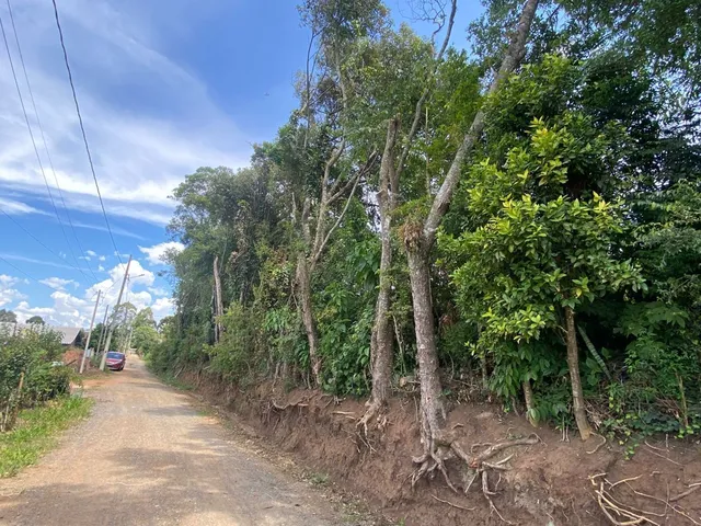 Imagem: Terreno Lote em Centro, Balsa Nova/PR
