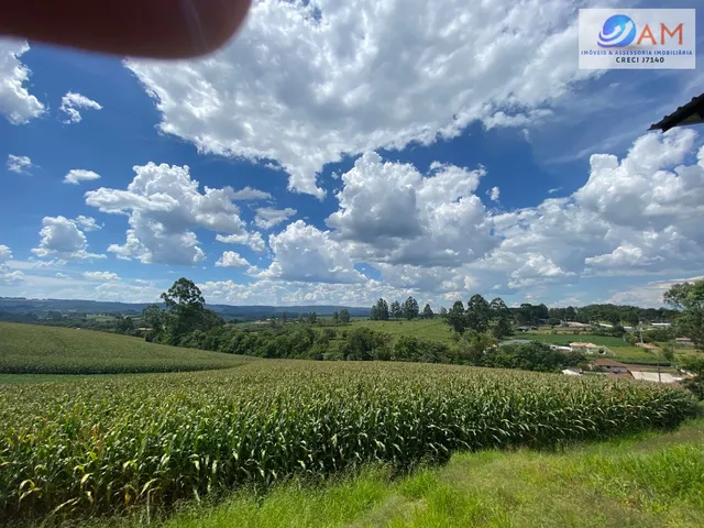Imagem 2: Terreno Lote em Centro, Balsa Nova/PR