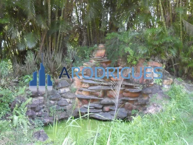 Imagem 13: Sítio à Venda em Abrantes: Alto Padrão, 4 Quartos, 1 Suíte, 4 Salas, 7 Banheiros, 7