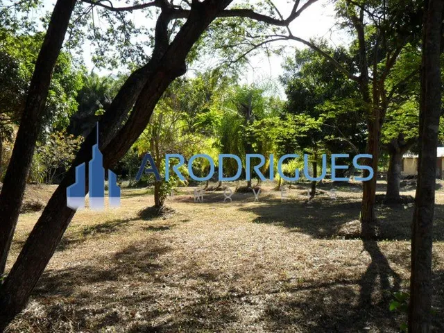 Imagem 5: Sítio à Venda em Abrantes: Alto Padrão, 4 Quartos, 1 Suíte, 4 Salas, 7 Banheiros, 7