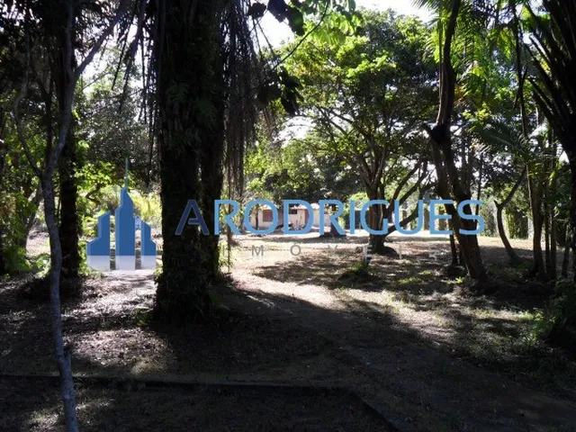 Imagem 16: Sítio à Venda em Abrantes: Alto Padrão, 4 Quartos, 1 Suíte, 4 Salas, 7 Banheiros, 7