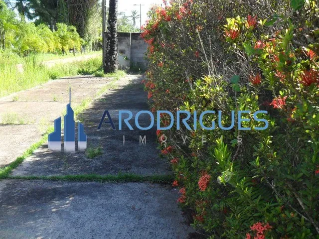 Imagem 10: Sítio à Venda em Abrantes: Alto Padrão, 4 Quartos, 1 Suíte, 4 Salas, 7 Banheiros, 7
