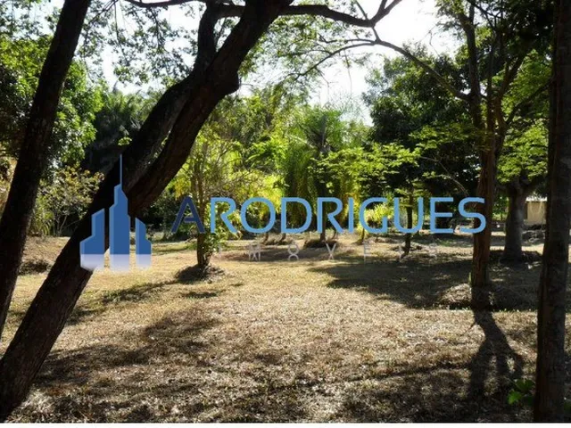 Imagem 15: Sítio à Venda em Abrantes: Alto Padrão, 4 Quartos, 1 Suíte, 4 Salas, 7 Banheiros, 7