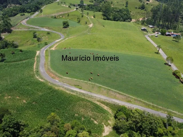 Imagem: Sitio com 24,43 hectares, Arroio Grande