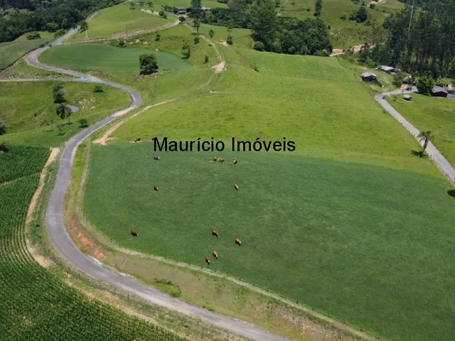 Imagem 16: Sítio com 37,70 hectares, Arroio Grande, Pouso Redondo, S.C., com 3 casas, vários