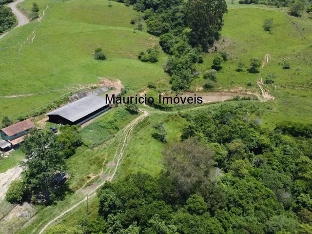 Imagem 4: Sítio com 37,70 hectares, Arroio Grande, Pouso Redondo, S.C., com 3 casas, vários