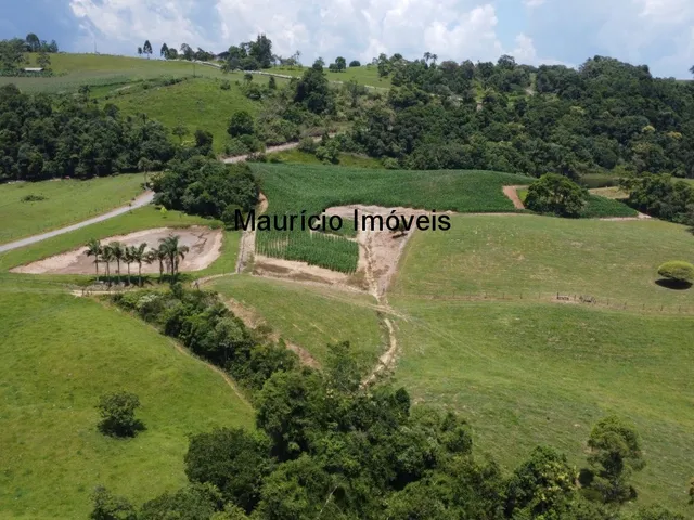 Imagem 10: Sítio com 37,70 hectares, Arroio Grande, Pouso Redondo, S.C., com 3 casas, vários