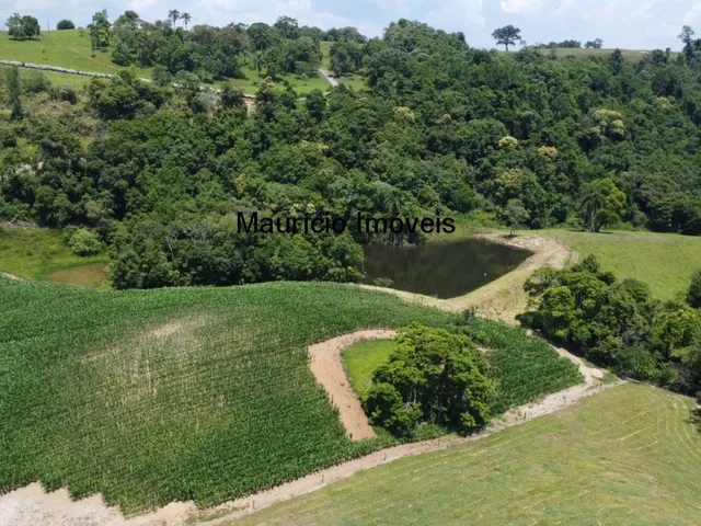 Imagem 12: Sítio com 37,70 hectares, Arroio Grande, Pouso Redondo, S.C., com 3 casas, vários
