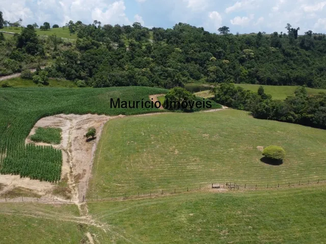 Imagem 6: Sítio com 37,70 hectares, Arroio Grande, Pouso Redondo, S.C., com 3 casas, vários