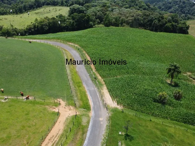 Imagem 11: Sítio com 37,70 hectares, Arroio Grande, Pouso Redondo, S.C., com 3 casas, vários