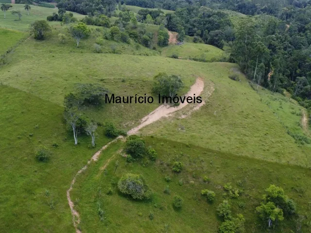 Imagem 2: Sítio com 37,70 hectares, Arroio Grande, Pouso Redondo, S.C., com 3 casas, vários