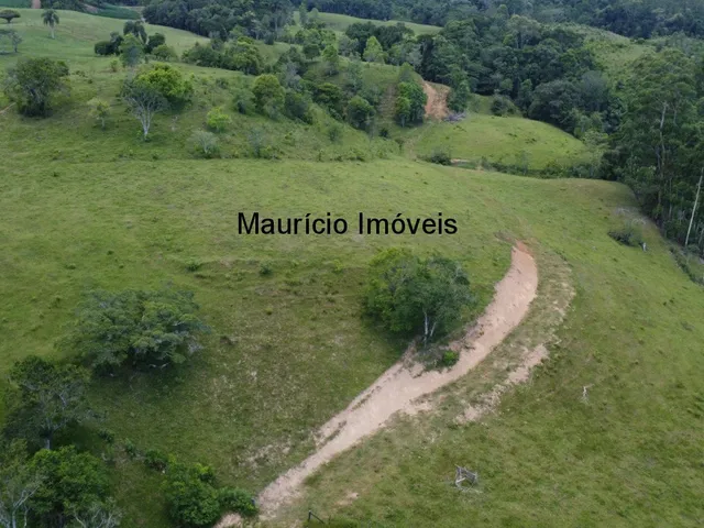Imagem 15: Sítio com 37,70 hectares, Arroio Grande, Pouso Redondo, S.C., com 3 casas, vários