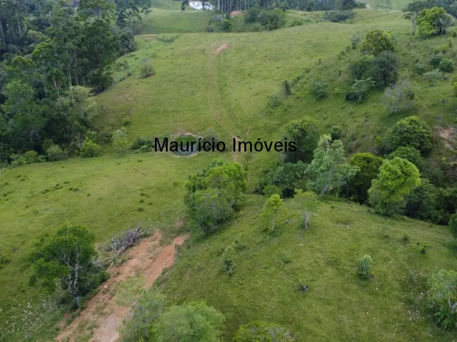Imagem 5: Sítio com 37,70 hectares, Arroio Grande, Pouso Redondo, S.C., com 3 casas, vários