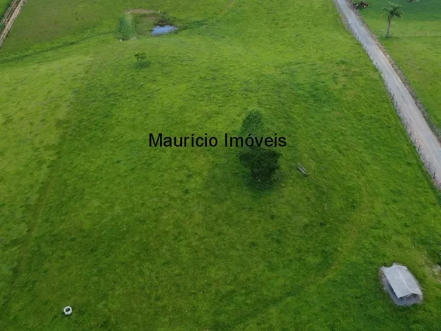 Imagem 14: Sítio com 37,70 hectares, Arroio Grande, Pouso Redondo, S.C., com 3 casas, vários