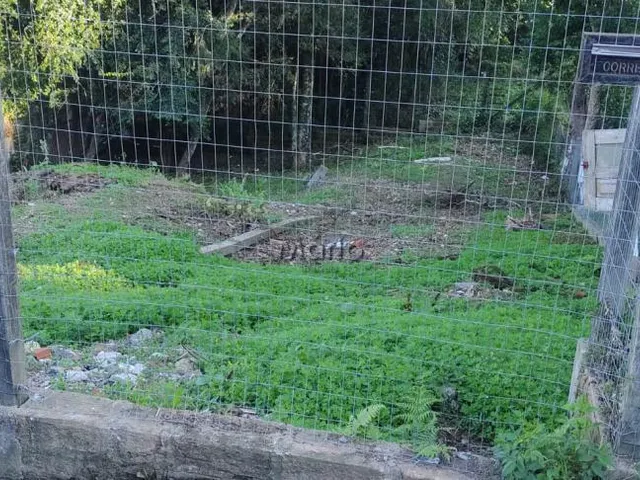 Imagem 1: Terreno no Bairro Moura em Gramado!
