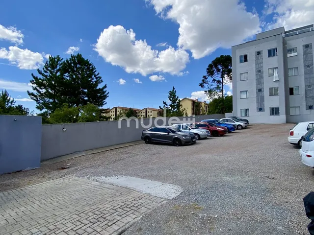 Imagem 7: Apartamento Afonso Pena