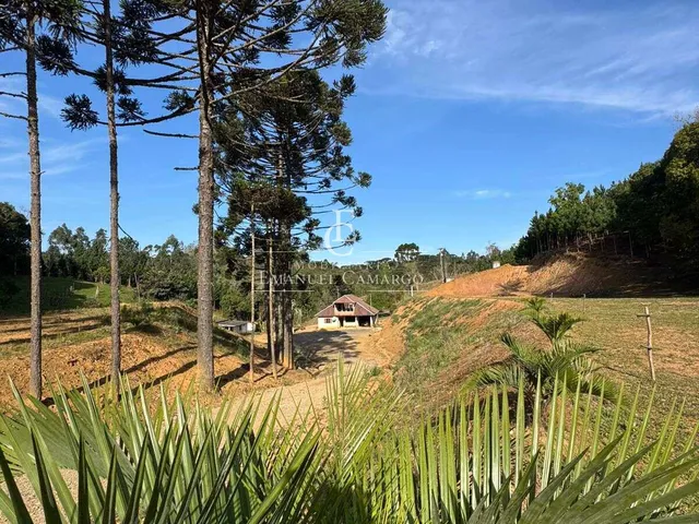 Imagem: Chácara à venda em Quatro Barras, 58.549,00m²