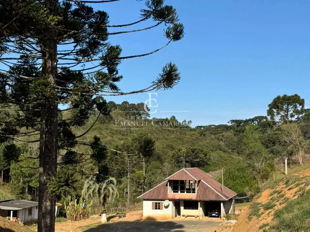 Imagem 14: Chácara à venda em Quatro Barras, 58.549,00m²