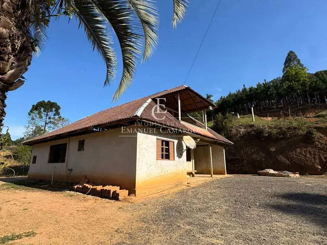 Imagem 15: Chácara à venda em Quatro Barras, 58.549,00m²