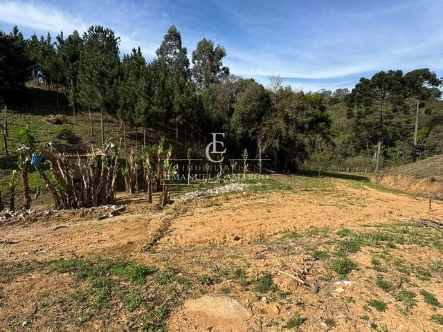 Imagem 12: Chácara à venda em Quatro Barras, 58.549,00m²