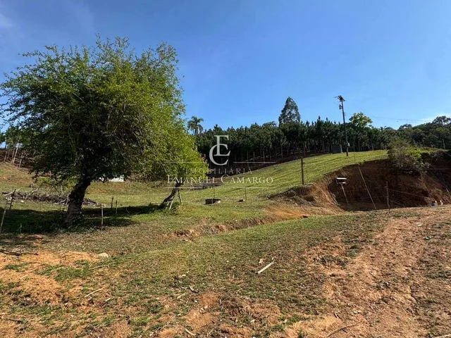 Imagem 16: Chácara à venda em Quatro Barras, 58.549,00m²