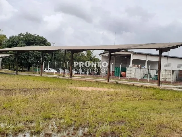 Imagem: Galpão/Depósito/Armazém em Passarinho