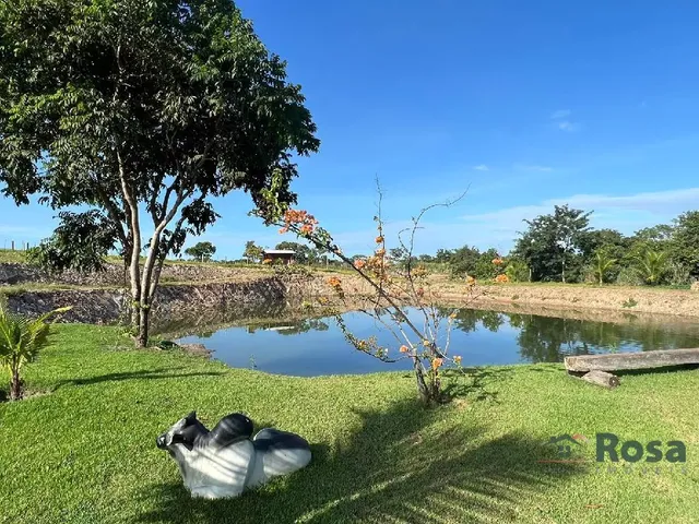 Imagem 13: CHÁCARA / SITIO para venda ZONA RURAL Cuiabá