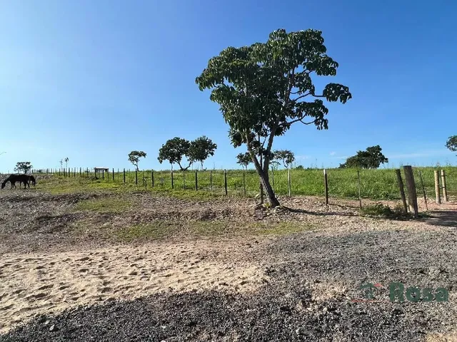 Imagem 7: CHÁCARA / SITIO para venda ZONA RURAL Cuiabá
