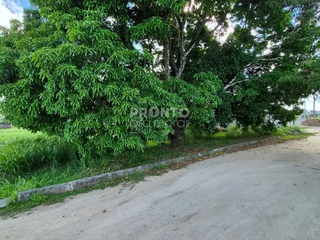 Imagem: Lote/Terreno/Condomínio em Aldeia dos Camarás